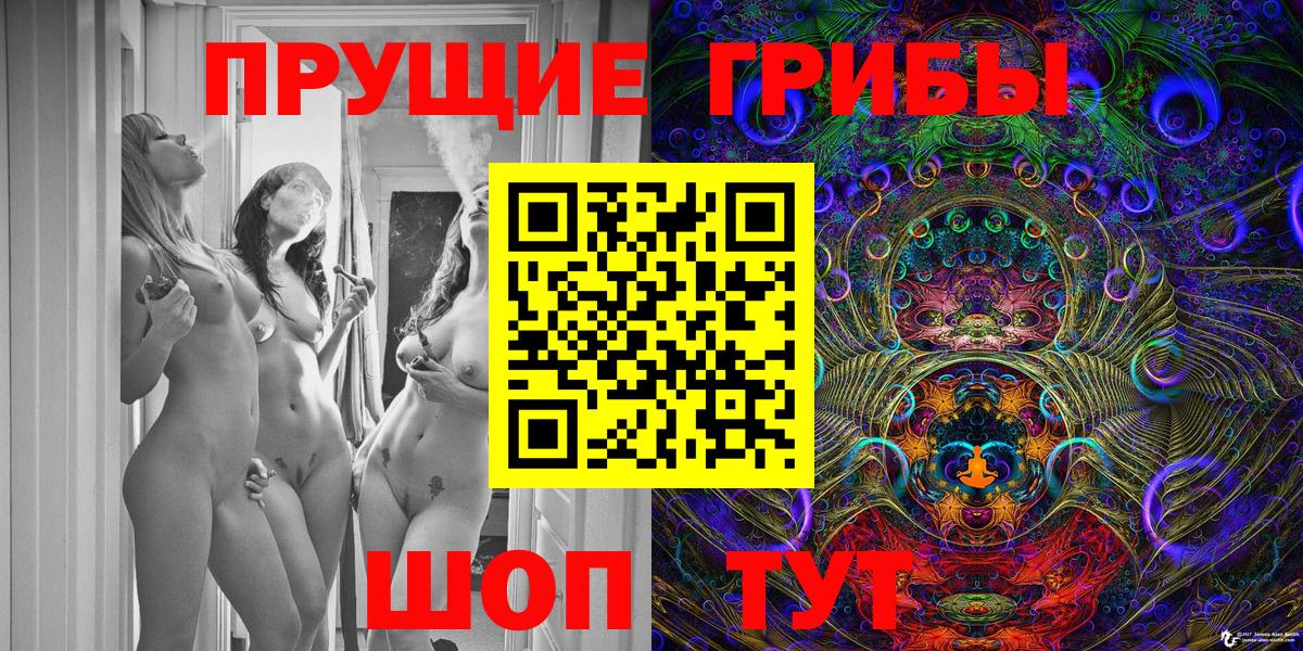 Сибай  Псилоцибиновые грибы Psilocybe  Вход с VPN  Псилоцибиновые грибы Psilocybine cubensis 