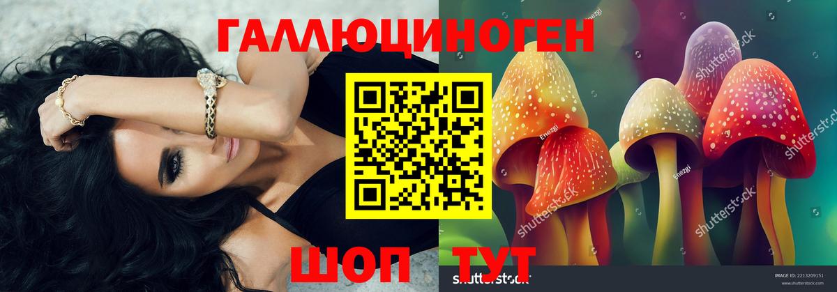 Псилоцибиновые грибы GOLDEN TEACHER Сибай